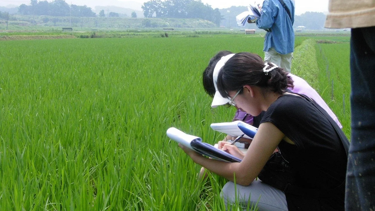 Área rural vista do alto com divisão de talhões