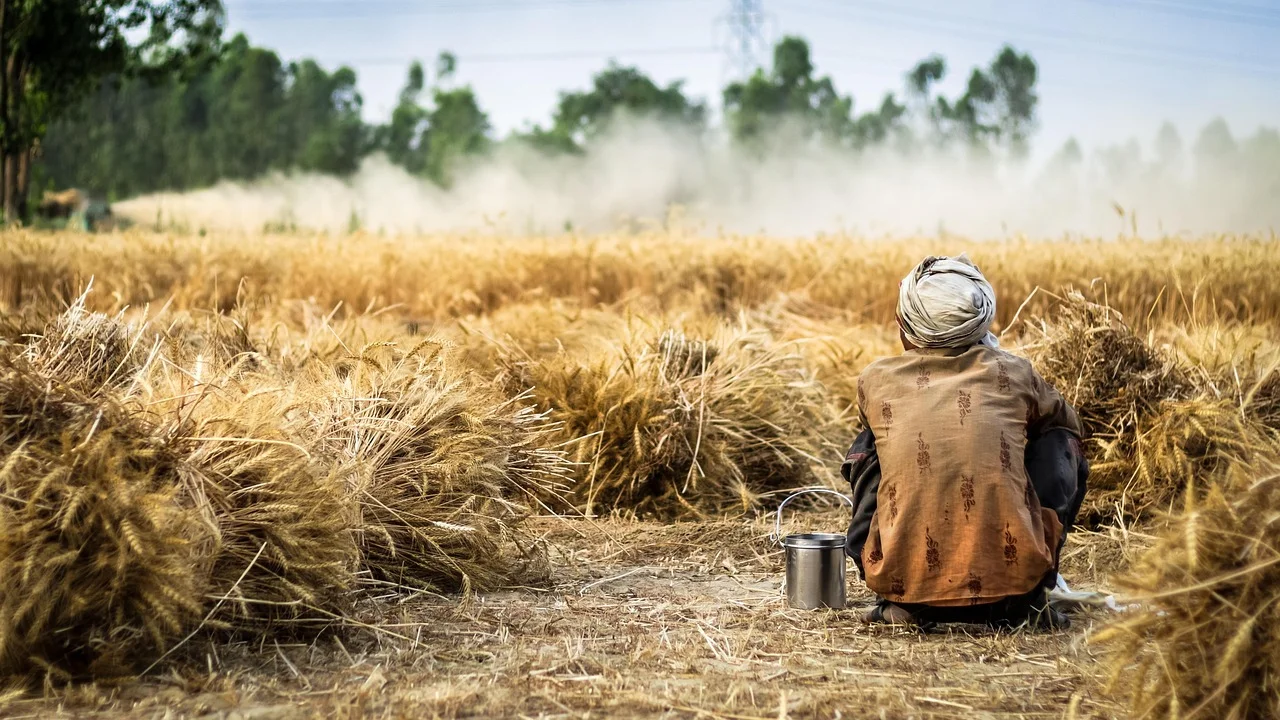 Plantação em terreno rural com relevo amplo