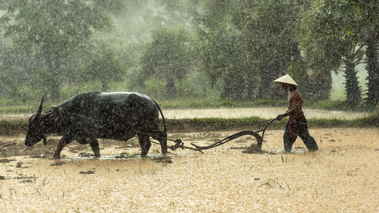 Marcação de limites em uma propriedade agrícola