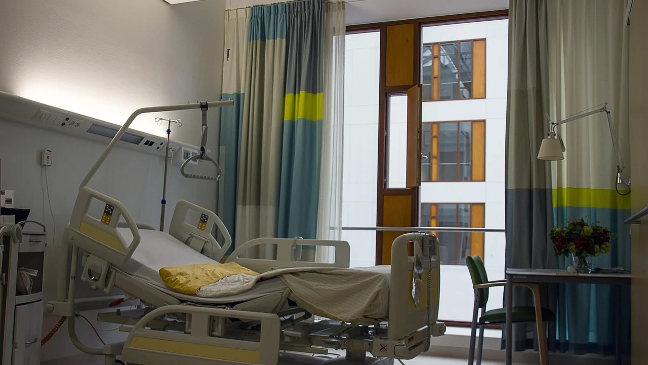 Alimentação leve durante a recuperação