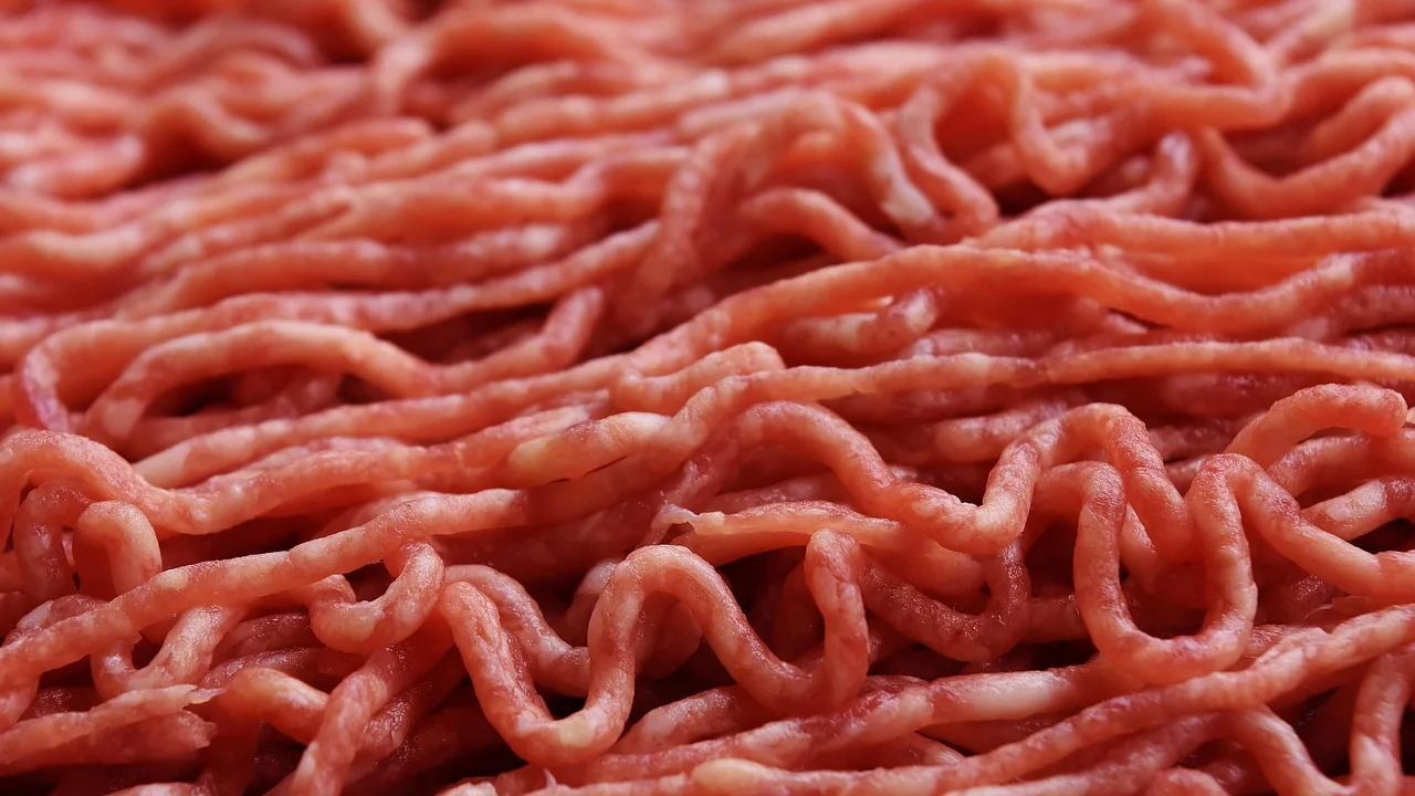 Carne moída fresca preparada com temperos naturais