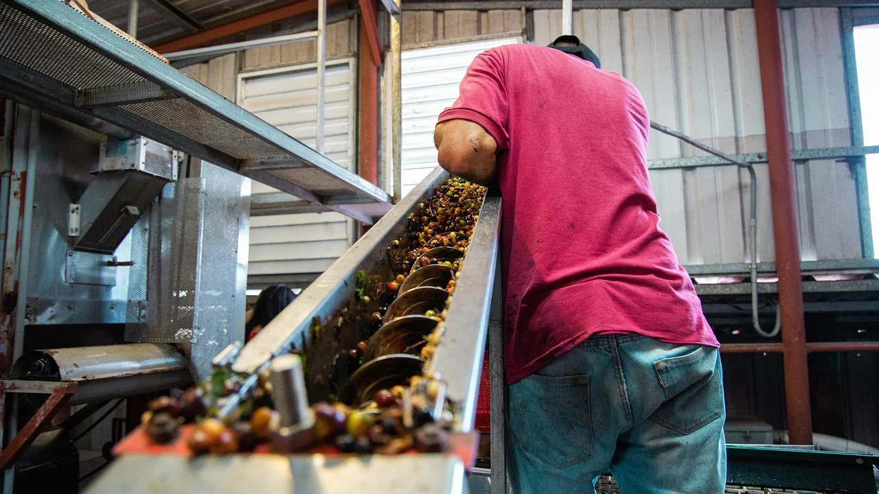 Rótulo nutricional de castanhas pronto para comparação