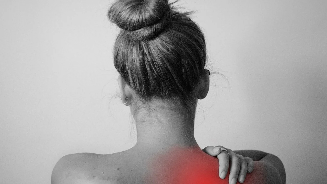 Ilustração da coluna cervical e suas principais estruturas.