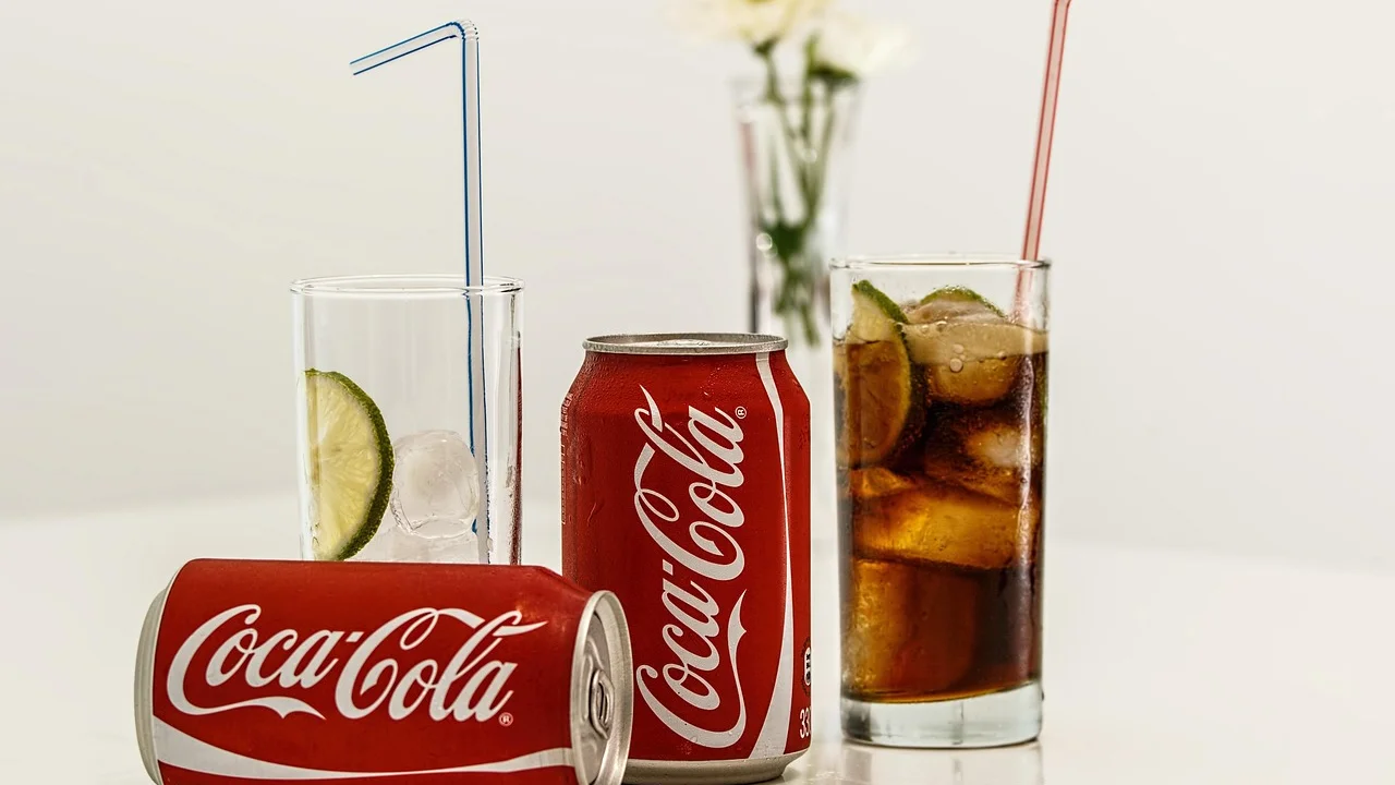 Água com gás e rodelas de limão como alternativa refrescante.