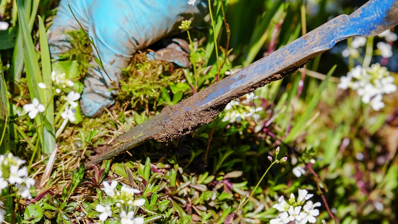Ferramentas de jardinagem usadas na limpeza de um quintal