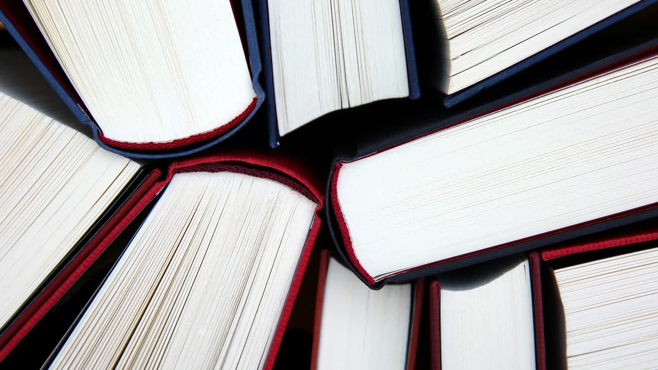 Estudante confere dados bibliográficos em artigo científico