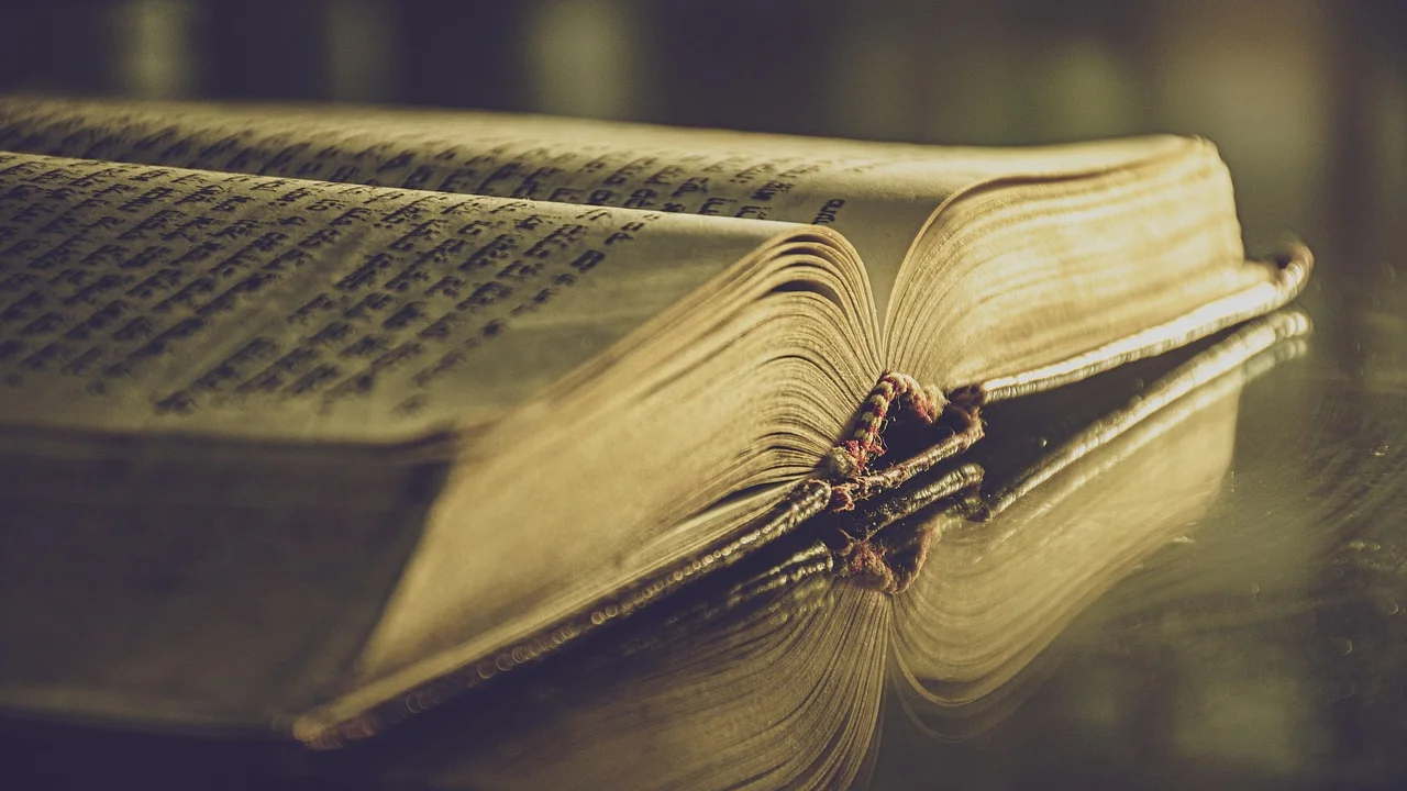 Livros e materiais de pesquisa usados para definir conceitos