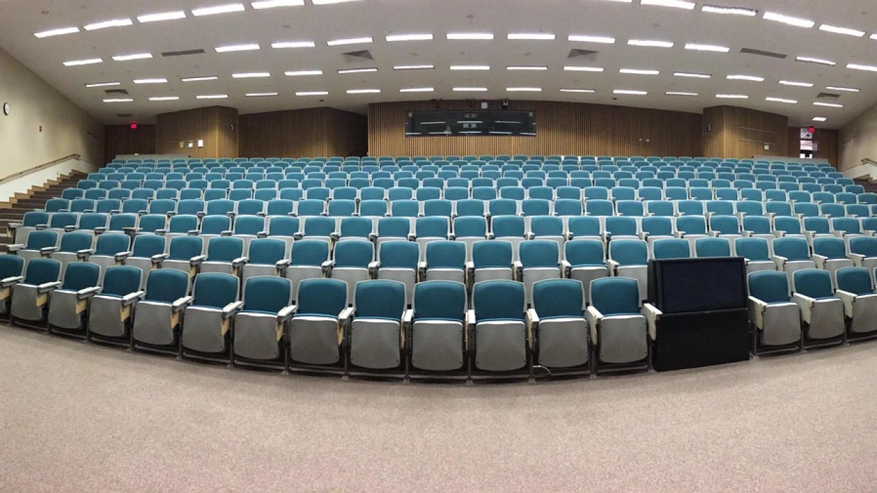 Grupo revisando slides antes de um seminário