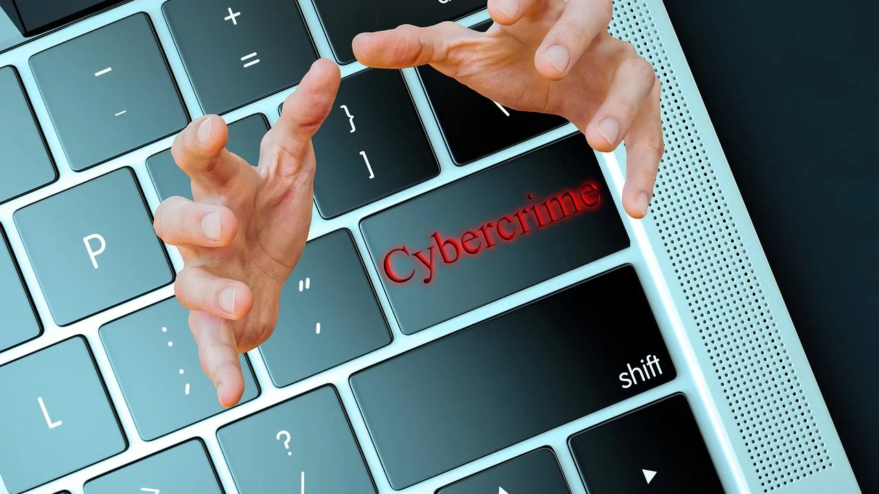 Organização de contas e credenciais em ambiente digital.