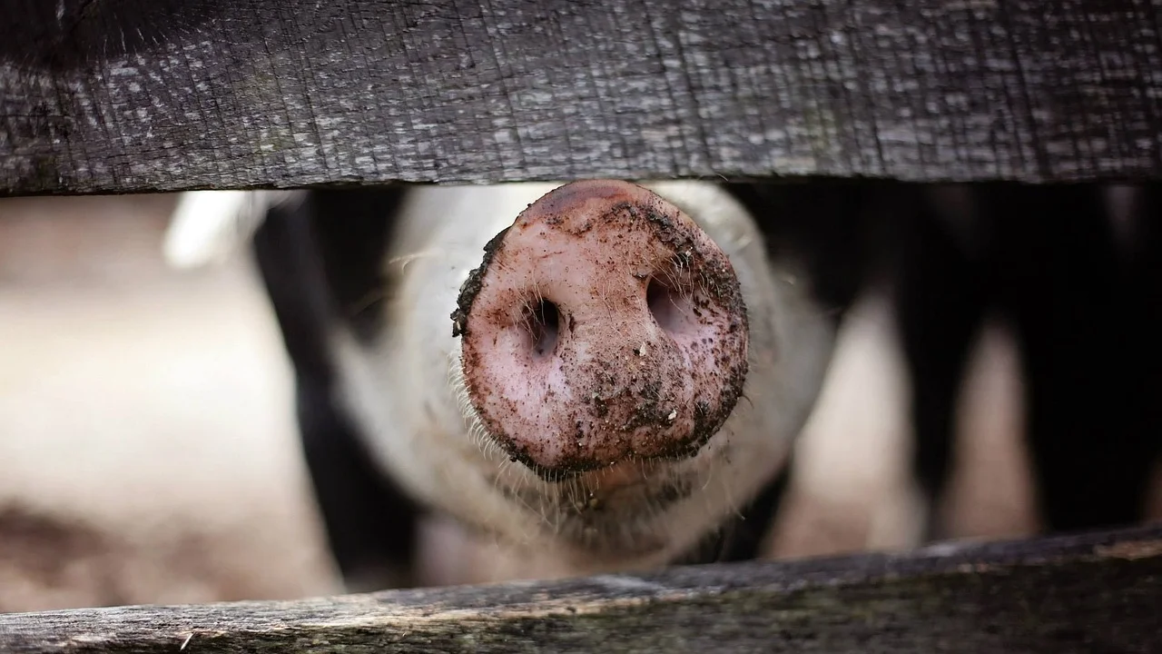 Produtor confere documentos cadastrais na fazenda