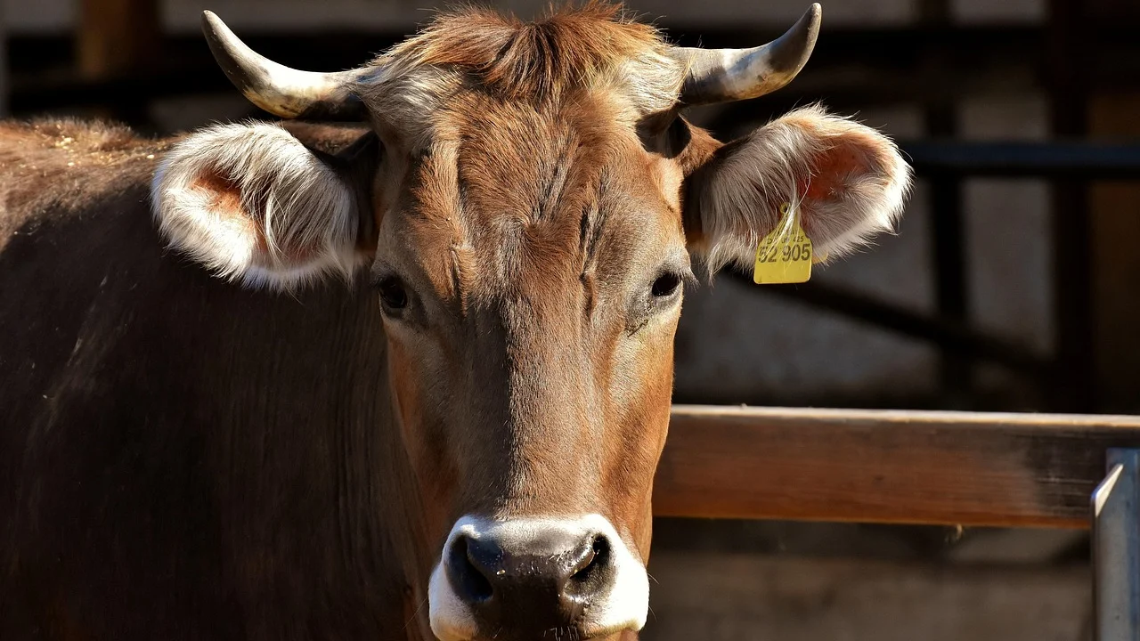 Produtor rural confere documentos ambientais da propriedade
