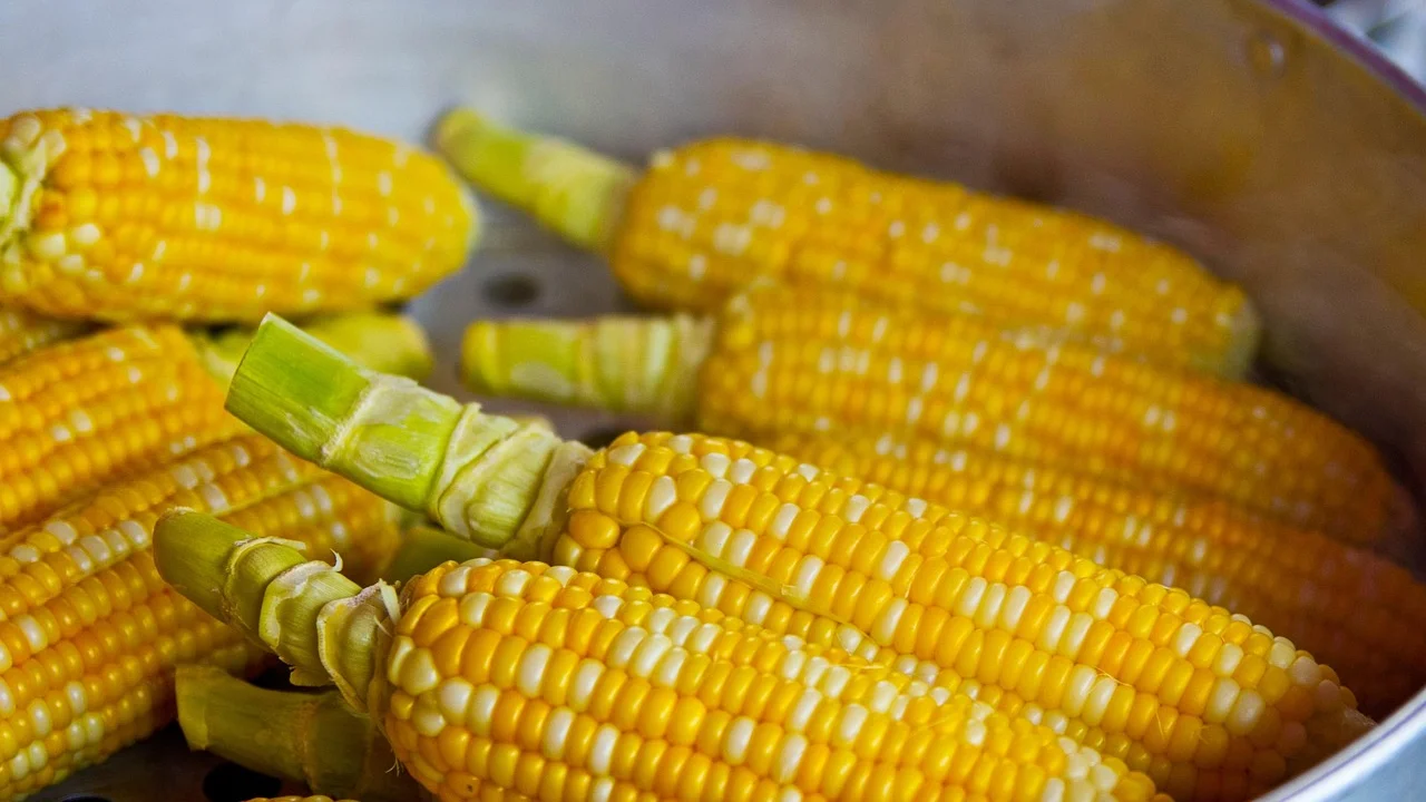 Cuscuz acompanhado de legumes e fonte de proteína.