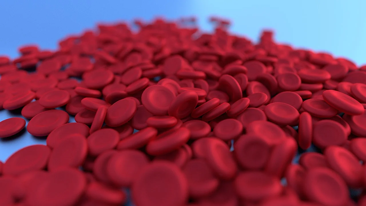 Amostra de sangue em tubos para exames laboratoriais