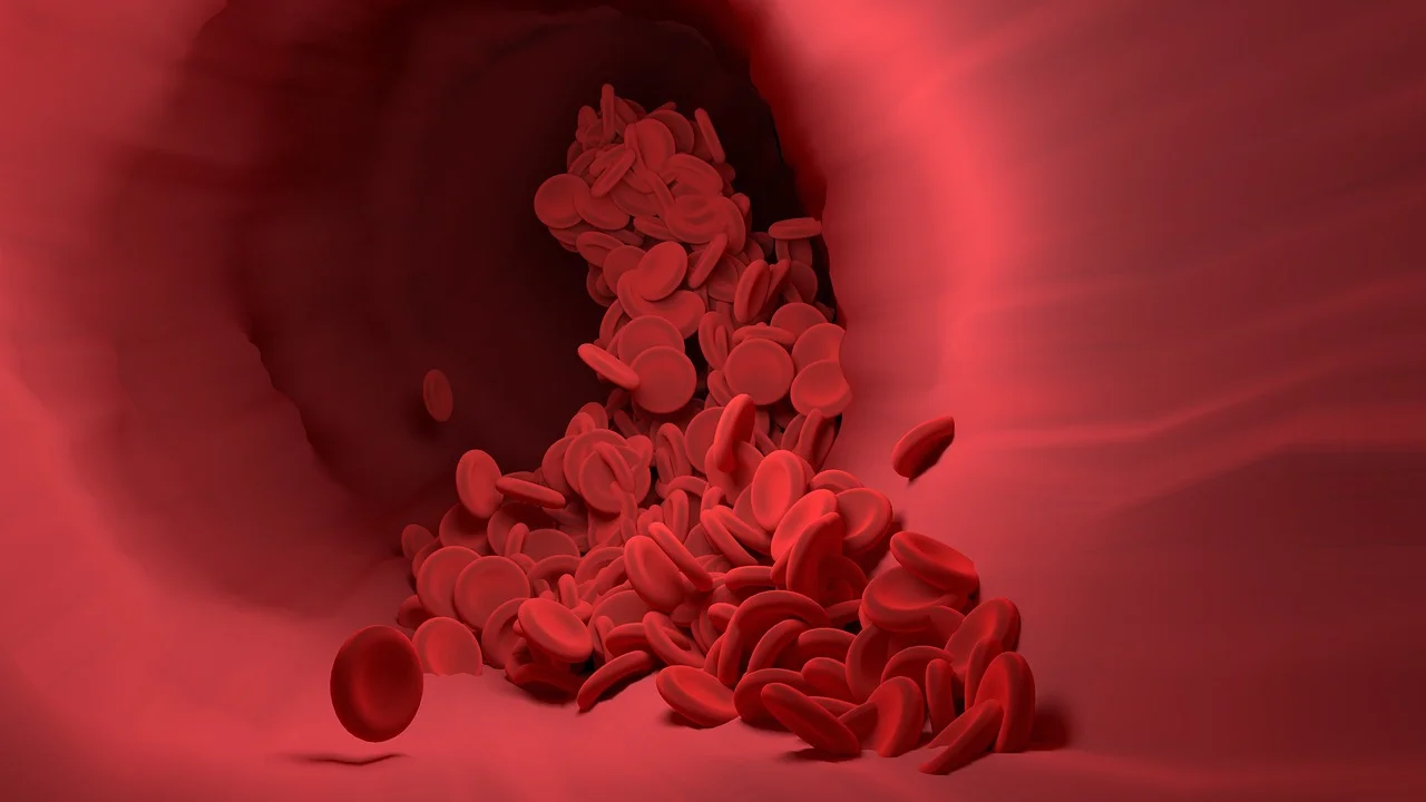 Profissional analisando resultados de hemograma