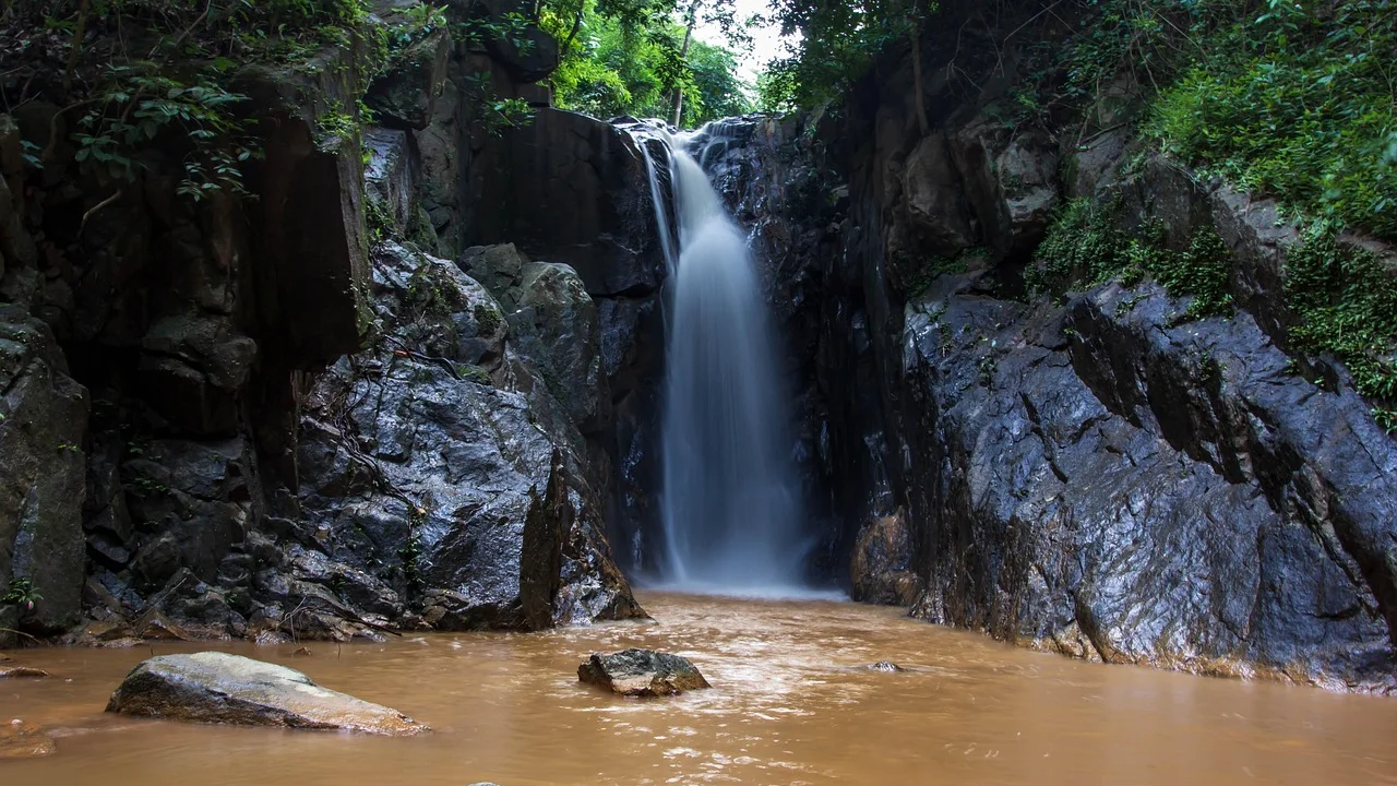 Rio cercado por vegetação e paisagem de Mata Atlântica.