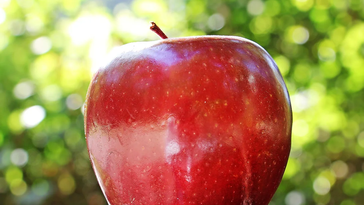 Frutas frescas variadas organizadas em uma mesa de madeira