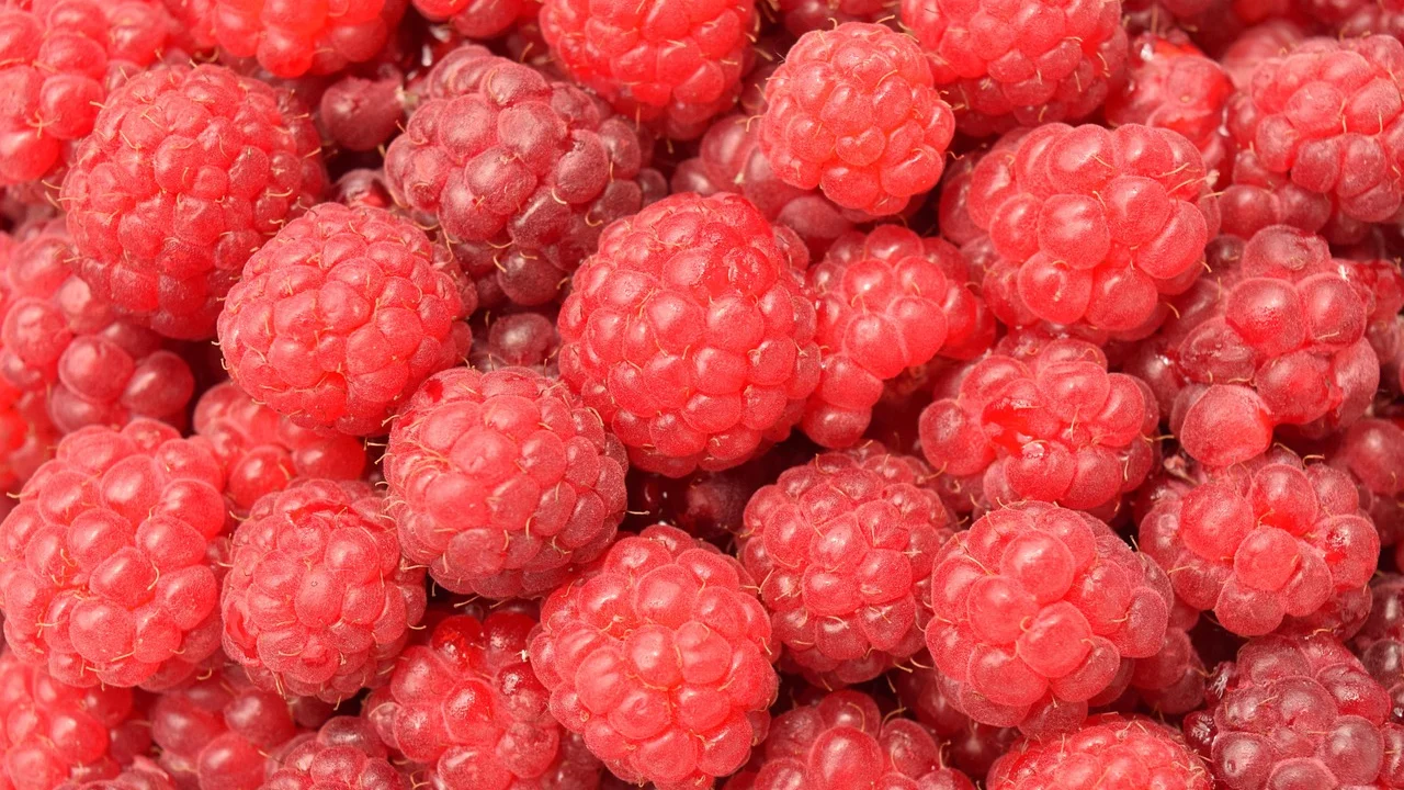 Maçã, pera e laranja como opções para o lanche