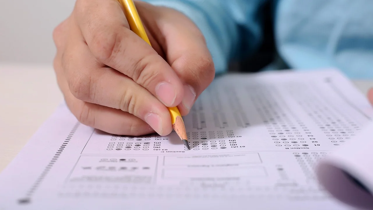 Histórico escolar reúne etapas, disciplinas e resultados obtidos.