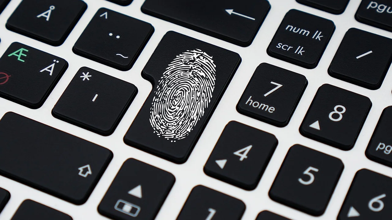 Usuário verificando o endereço de um site antes de enviar dados.