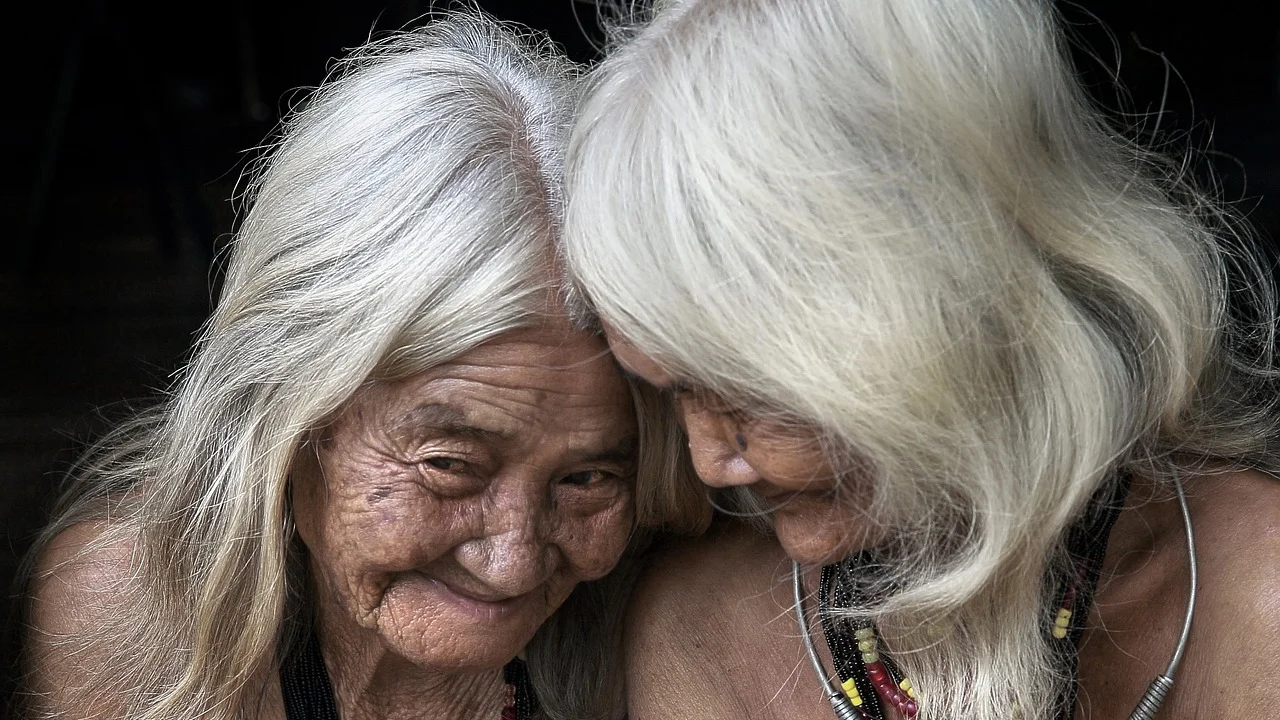Artistas indígenas contemporâneos renovam linguagens e afirmam suas autorias.