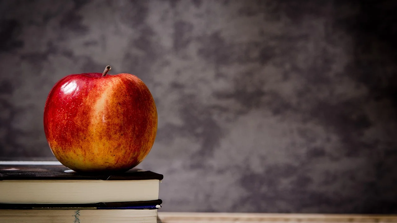 Responsável confere documentos necessários para a matrícula escolar.