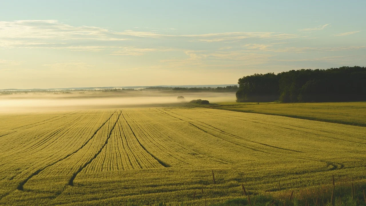 Produtor observa a extensão de uma propriedade rural