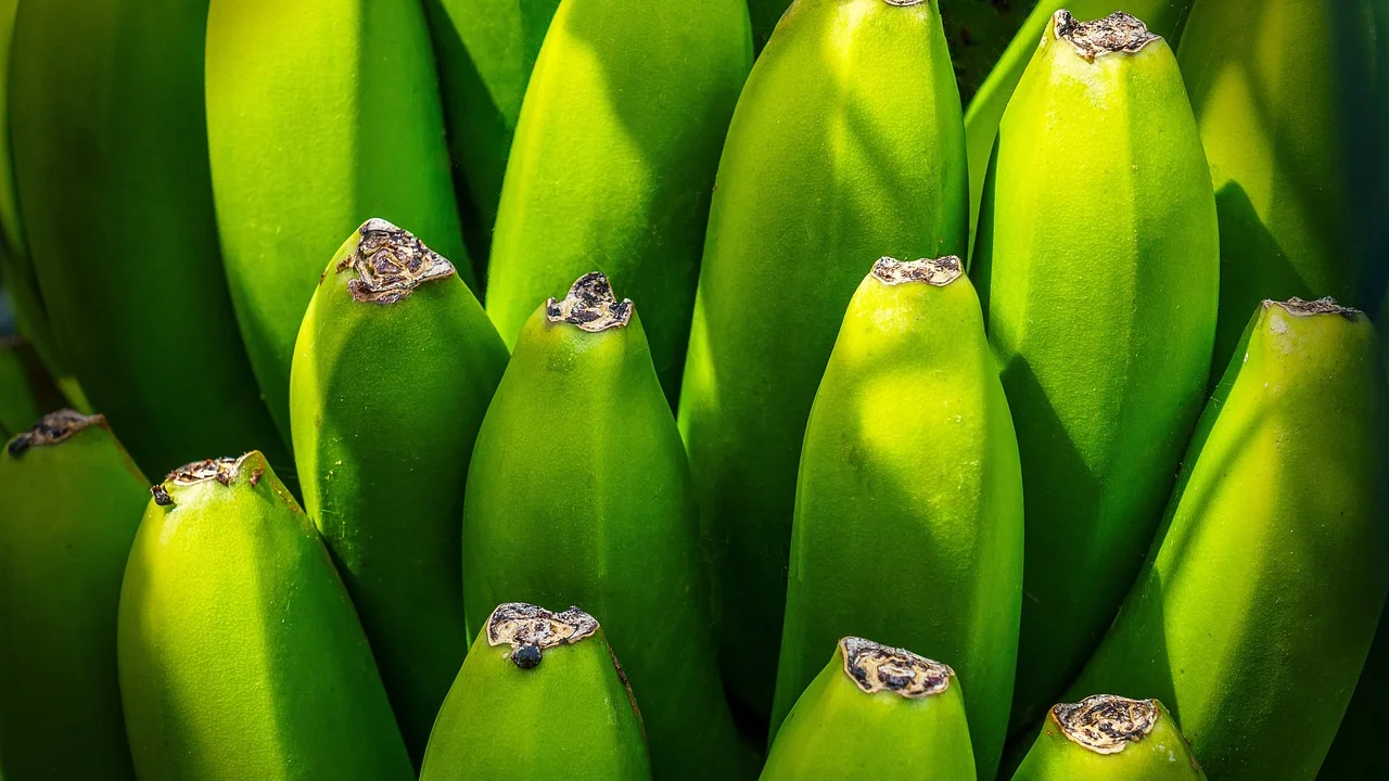 Fruta descascada mostrando a polpa cremosa